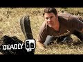 Awesome King Cobra | Deadly 60 | BBC Earth Kids