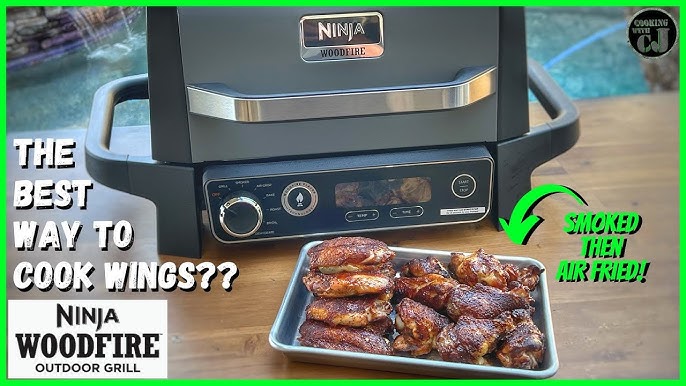 Ninja Woodfire Outdoor Grill 1st Look & Cook Air Fryer Smoked