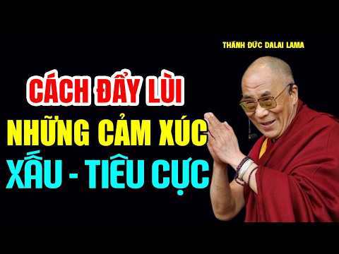 Cách đẩy lùi những cảm xúc xấu - tiêu cực - Thánh Đức Đalai Lama khai thị