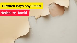 Kabaran Duvar Boyası Nasıl Tamir Edilir?