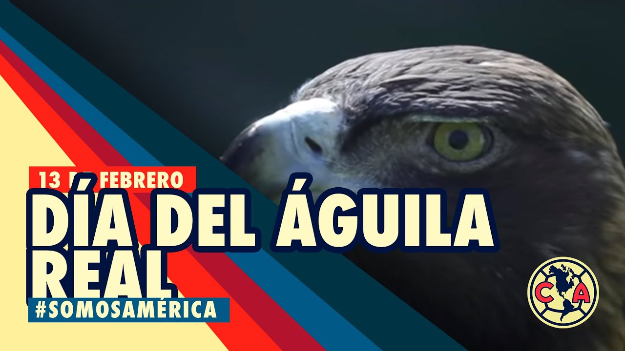 Celeste en el Día del Águila Real - YouTube