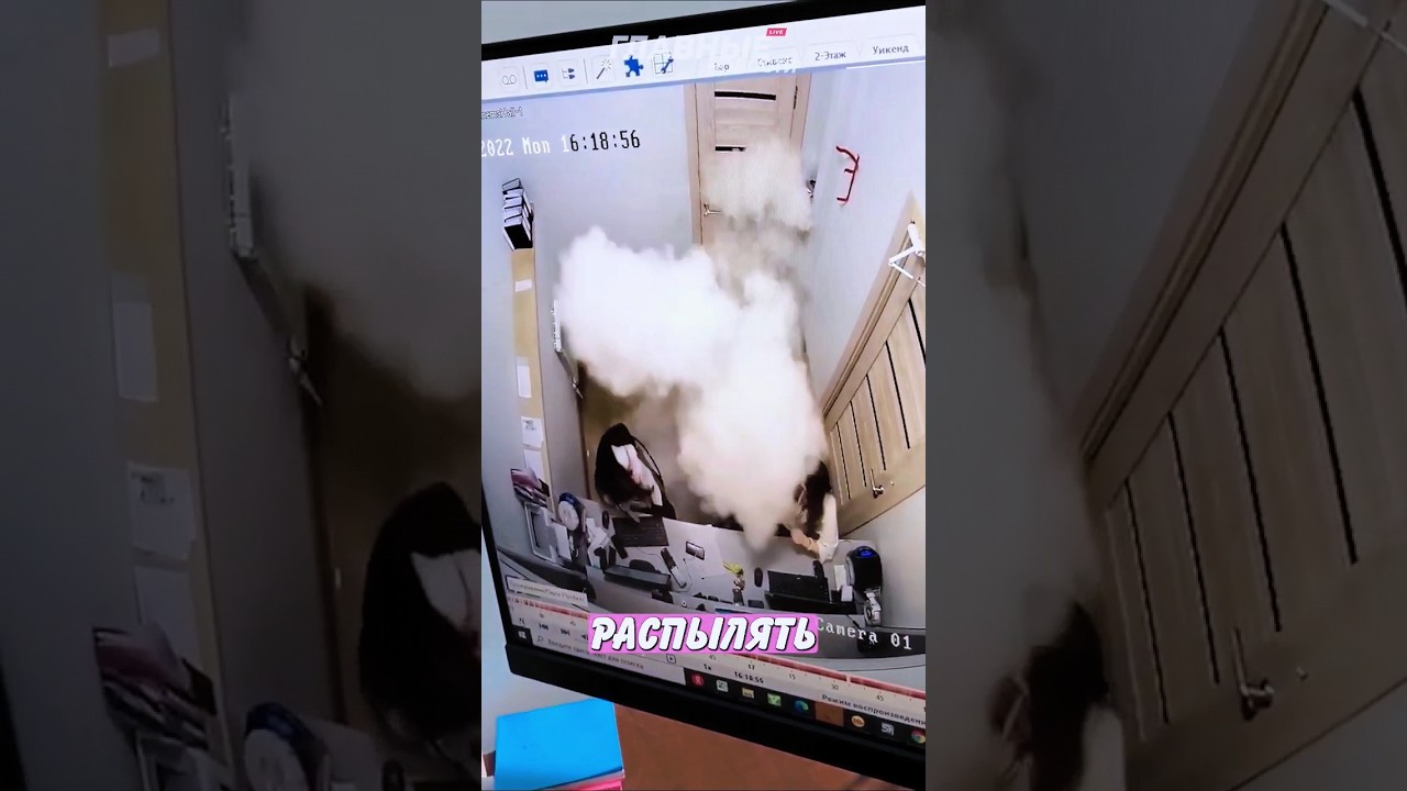 Огнетушитель упал со стены! | Новостничок