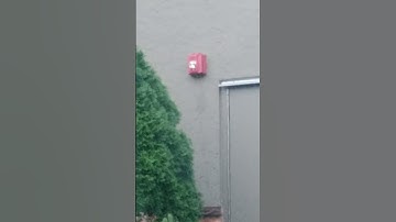 System Sensor Spectralert Advance P4RK Weatherproof Horn Strobe