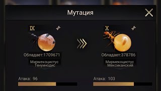 The Ants Underground Kingdom. T10 soldiers. Солдаты т10, долго, дорого, офигенно 😅