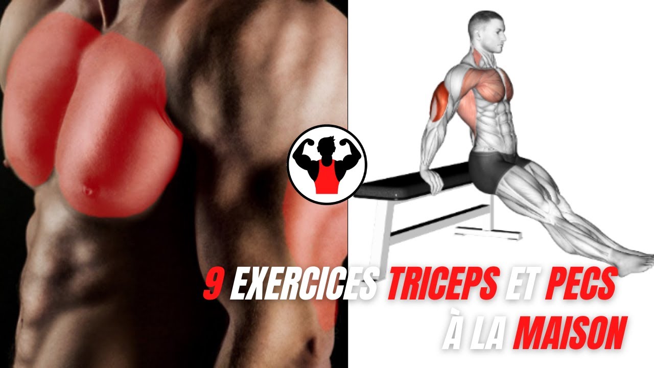 9 exercices pecs et triceps sans matériel. YouTube