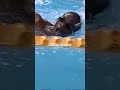 He learned to swim 8 months ago… #shorts #olympicsport #swimmingrace #swim #underdogstory