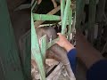 KANDANG HAMPIR ROBOH‼️ PENYUNTIKAN ANTI RADANG PADA SAPI JUMBO #animals #shorts