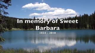 in memory of sweet barbara (1824 - 2010)