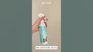 CÁCH KHỬ MÙI THÚ CƯNG TRONG KHÔNG GIAN SỐNG