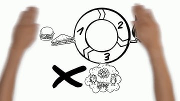 The Invention Of Pasteurization