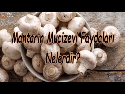 Video: Çiğ Mantarlar Neden Faydalıdır?