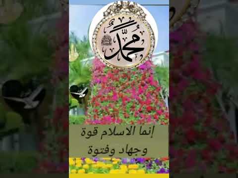 أنما الإسلام قوة