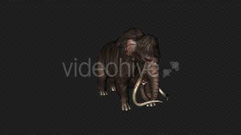 Mammoth Idle Pack 4In1 | Motion Graphics - Envato elements