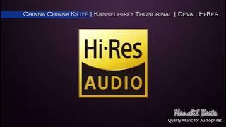 Chinna Chinna Kiliye | Kannedhirey Thondrinal | Deva | Hariharan | Hi-Res Audio