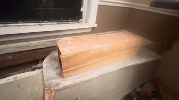 The most efficient way to set up a rat trap. The tunnel trap by ADD inventor