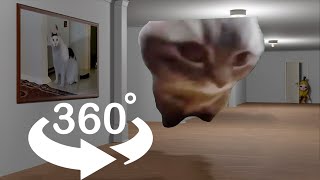 CHIPI CHIPI CHAPA CHAPA cat in the gallery of CAT MEMES 360 VR