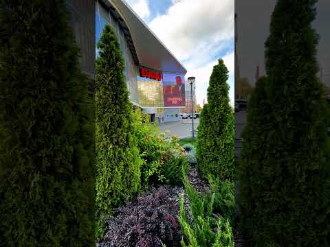 Реклама Золотий Вік ювелірні вироби з золота та срібла на медіафасаді ТРЦ ДАФІ Дніпро