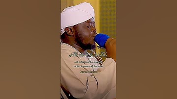 سورة ال عمران الشيخ مسلم بخاري #سورة #القرآن #viral #الله #quran #reels #تلاوة #اللهم #تلاوات #reel