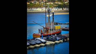 Shark Boat Orca 2 - Conwy 2026