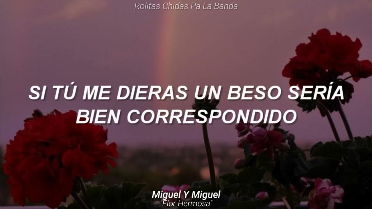 Flor Hermosa - Miguel Y Miguel Letra