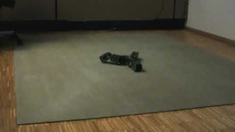 YaMoR modular robot, tripod configuration, random CPG parameter gait initialisation.