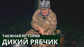Дикий рябчик в красноярской тайге // Таежная история / Серия #3