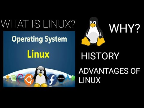 What is Linux? (Beginners Guide)| Advantages? | Kernel? | Why So Popular? | [Hindi/English]