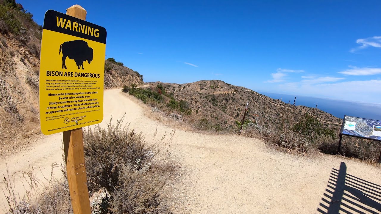 Hiking on Santa Catalina Island ~ A World Away from Los Angeles ~ Ep 6
