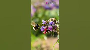 Ecosystem Services Explained: Why Nature is Our Best Ally #facts