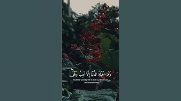 وما الحياة الدنيا الا لعب و لهو | القارئ شريف مصطفى