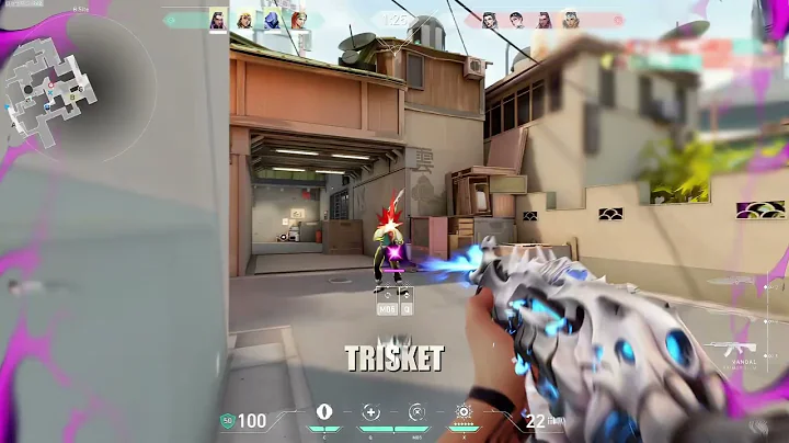 Using the best PRIVATE COLORBOT on the market | ft. trisket