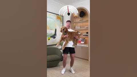 Holding bigger and bigger dogs