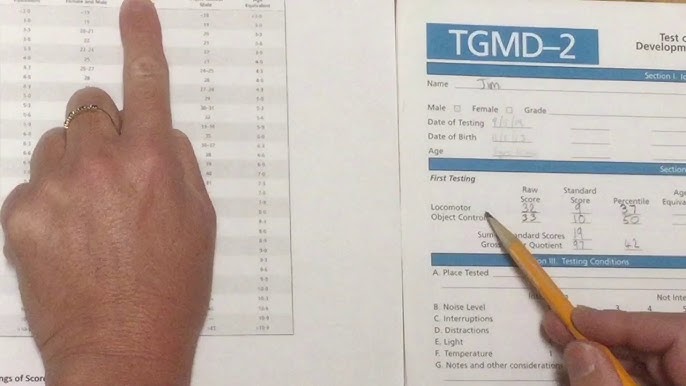 tgmd-score-sheet-pdf-fill-online-printable-fillable-60-off