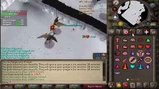 Armadyl helmet #19
