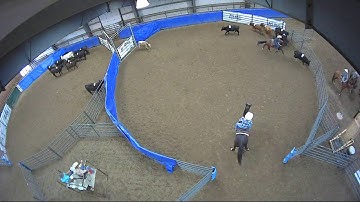 Big Sky Ranch Sorting Saddle Series #4 - #8 HC RANCH HAND (2 CAP SORTER) - Round #2 - Ride #2