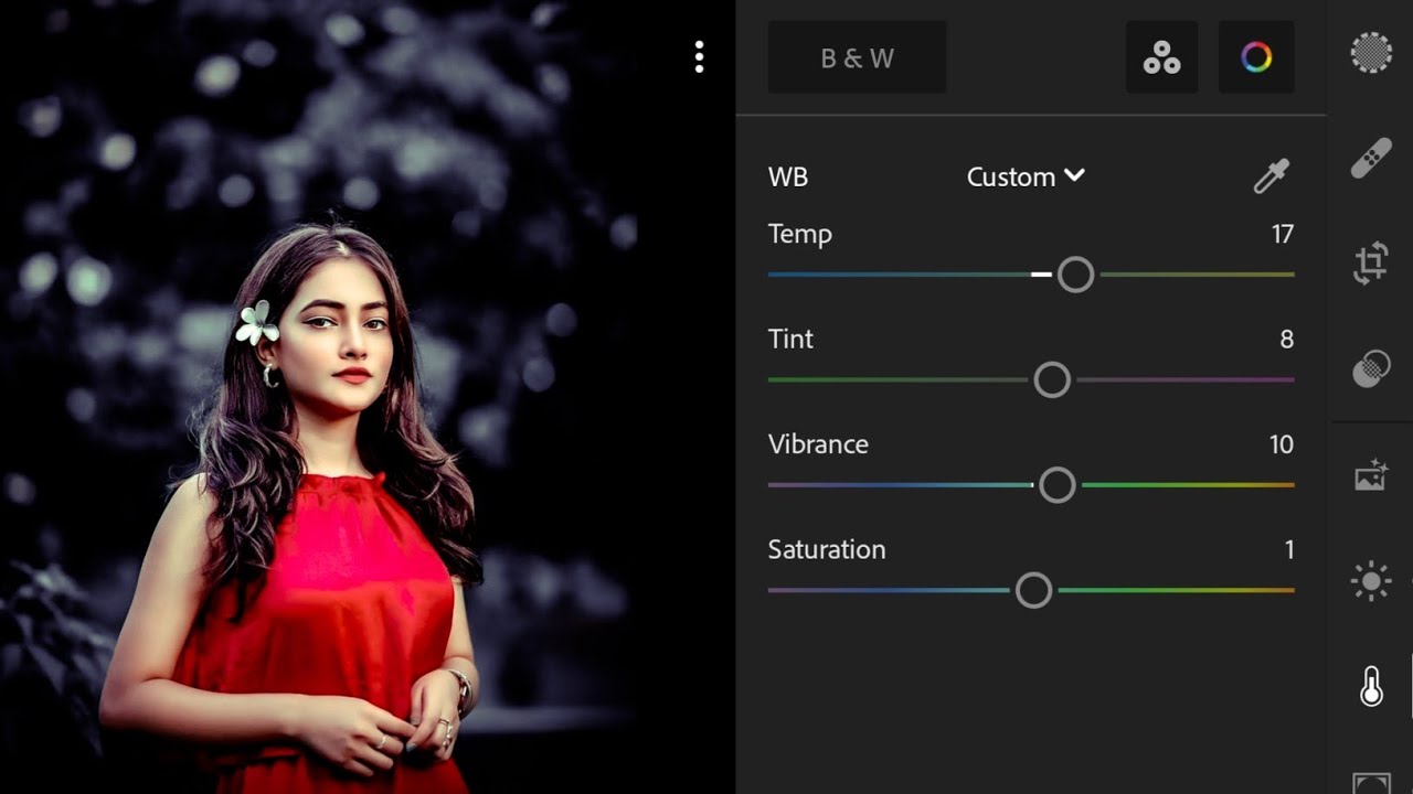 Lightroom Dark Navy Blue Tone Photo Editing | Dark Navy Blue Tone Lightroom | Presets Free Download