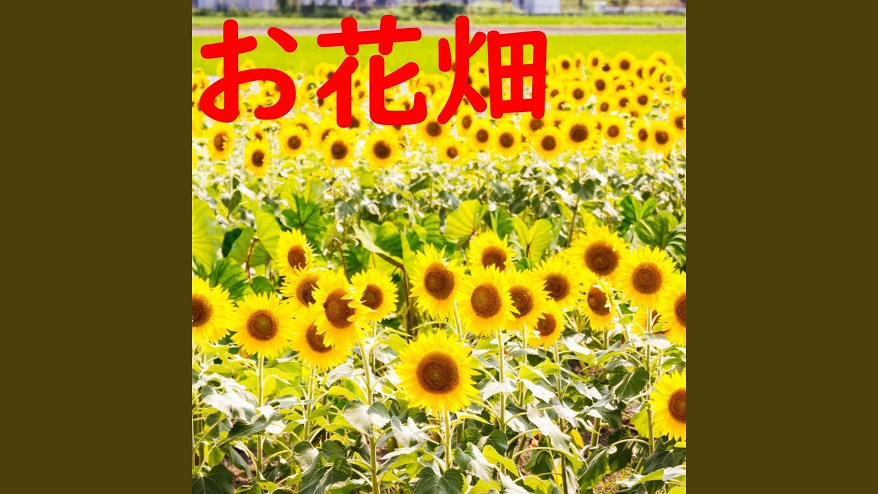 Obejrzyj やさしい色で w YouTube