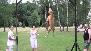 Corys High Jump 16. 6. 2013