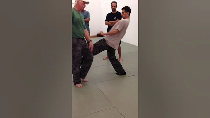 Dave Merrell kick defense at Systema Boca