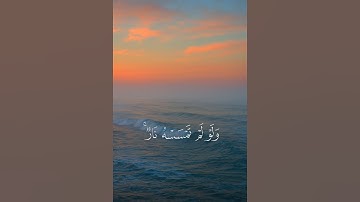 آية النور بصوت مؤثر يملأ القلب سكينة ويغمر الروح طمأنينة 🌙💙"سورة النور - الآية 35