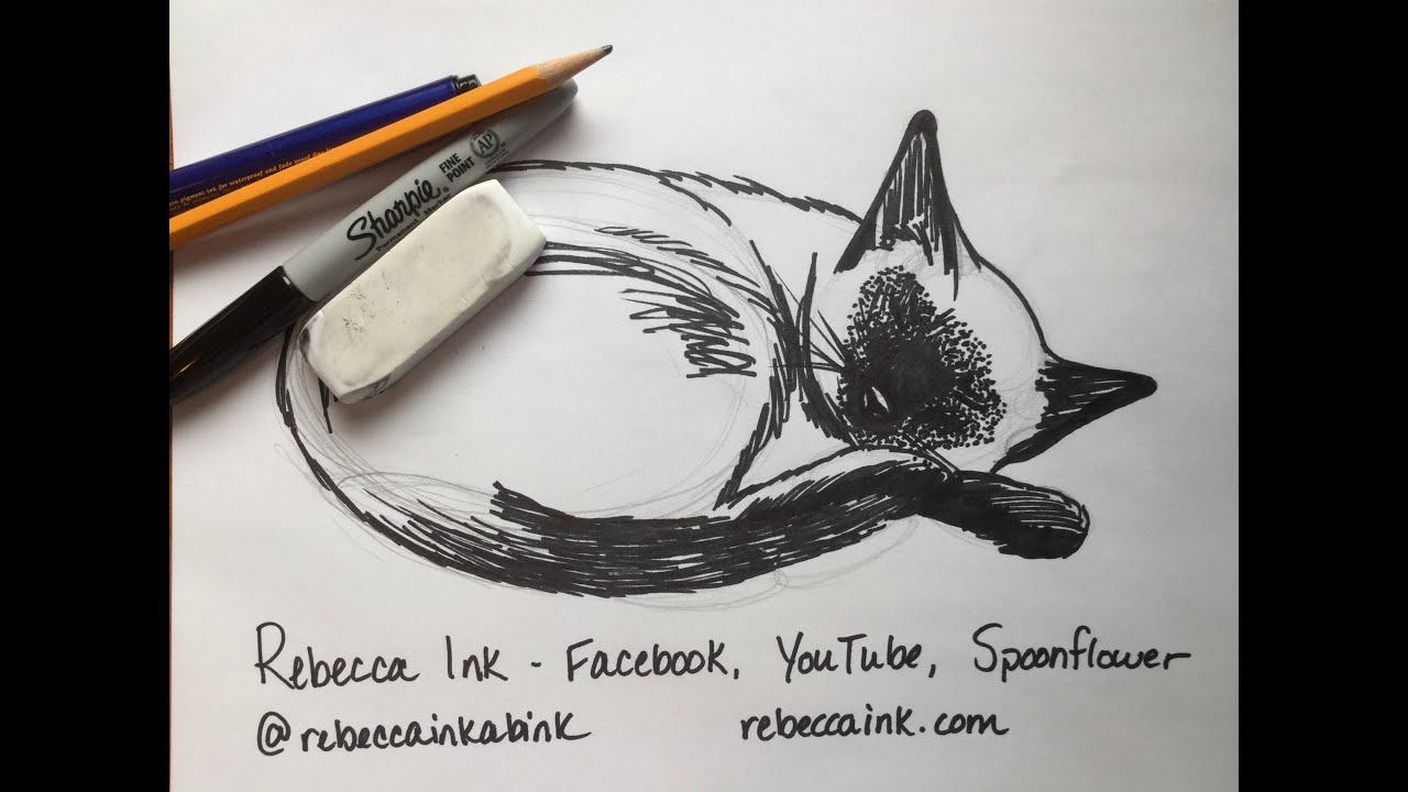 How to Draw A Siamese Cat Easy - YouTube