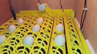 HOW TO MAKE AUTOMATIC EGG INCUBATOR, KUMPLETO FROM START TO FINISH