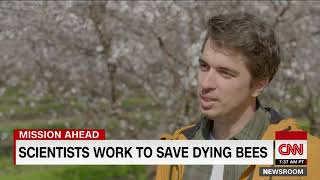 Beeflow - CNN Scientists work to save dying bees