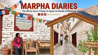 Apple capital of Nepal 🇳🇵 #marpha #apple