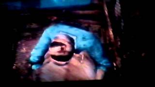 Las Hermanas Bella Hd Xd