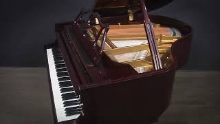 Story & Clark 5 Player Baby Grand Piano QRS Pianomation (DG27420)