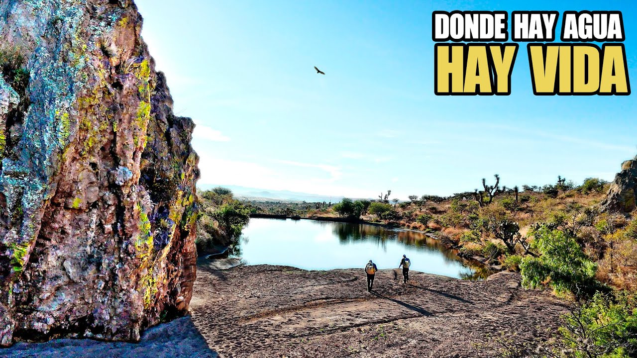 EL AGUA LO ERA TODO - El eje sagrado de los pueblos prehispánicos