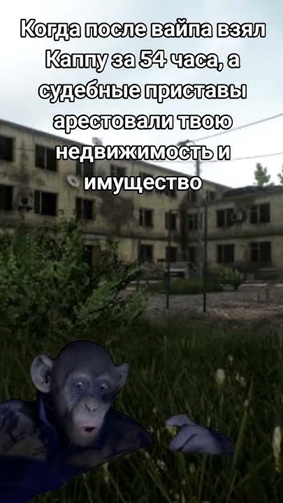 Каппа #eft #мем #тарков #аутизмнеприговор #tarkov #каппа - YouTube