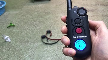 PE-900 "Pro Educator" vs EZ-900 "Easy Educator" | E-Collar Tech - Flashlight Feature