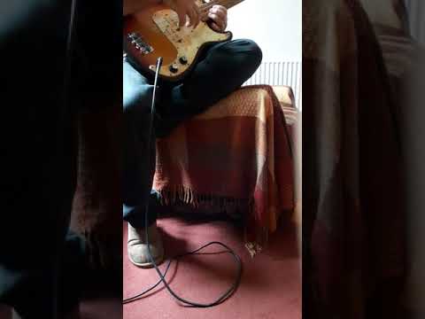 Early 1980's Musima